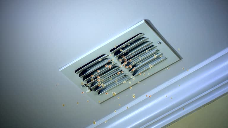 Best Dryer Vent Cleaning Services  in Orange City, FL