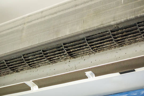 Best Affordable HVAC Duct Cleaning  in Orange City, FL